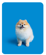 스크린샷-2026-02-27-094826.png